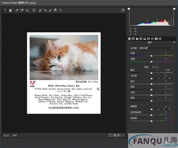 camera raw10.0中文版